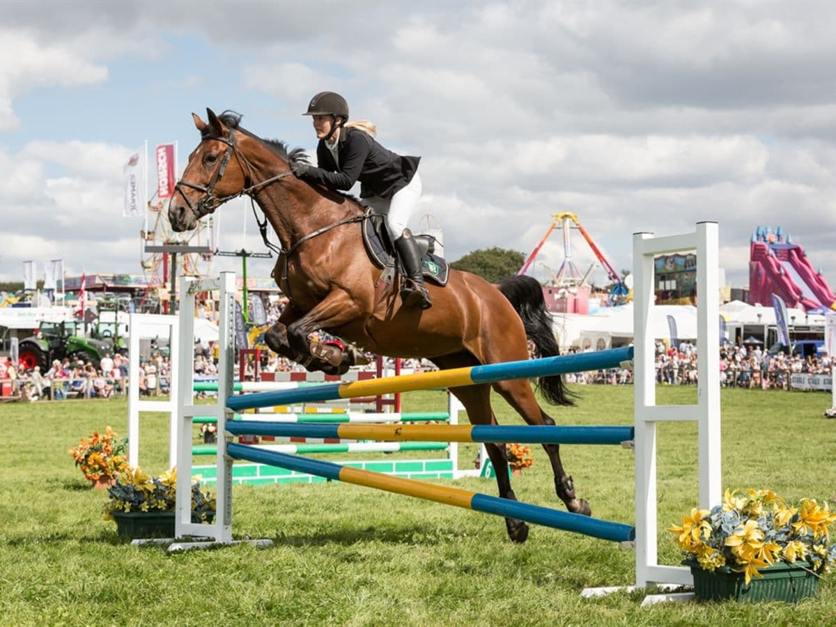Dorset County Show - Image 1
