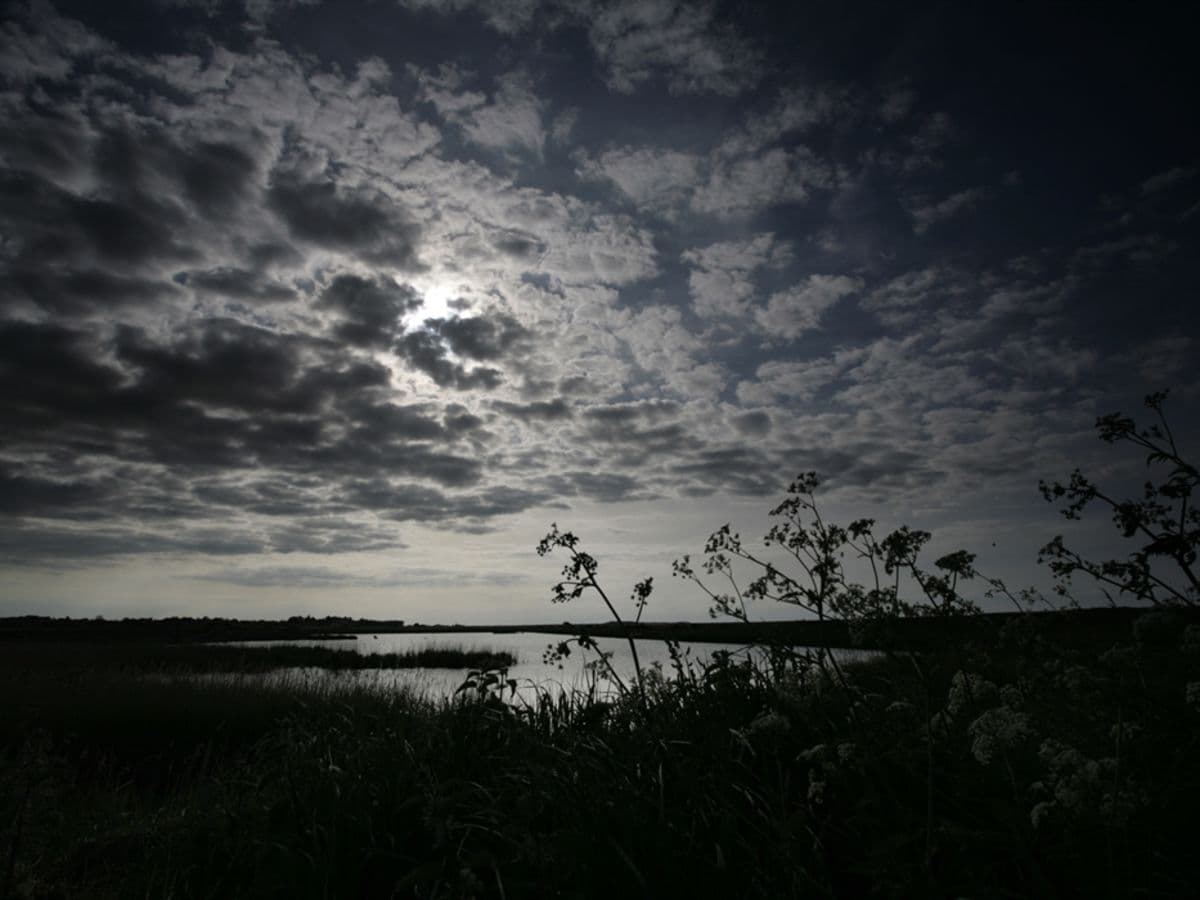 Full Moon Guided Walk – Women only - Image 1