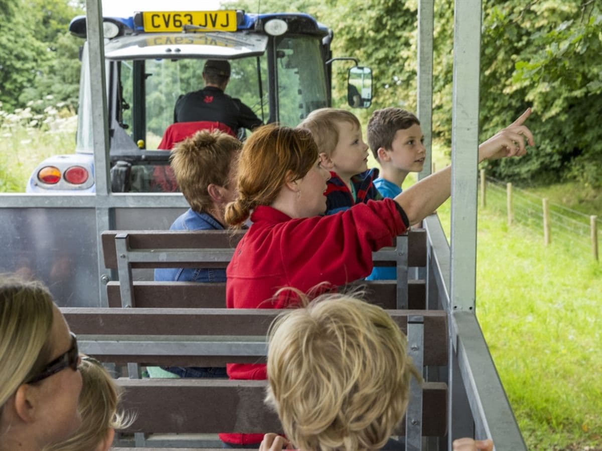 Tractor and Trailer rides at Kingston Lacy - Image 1
