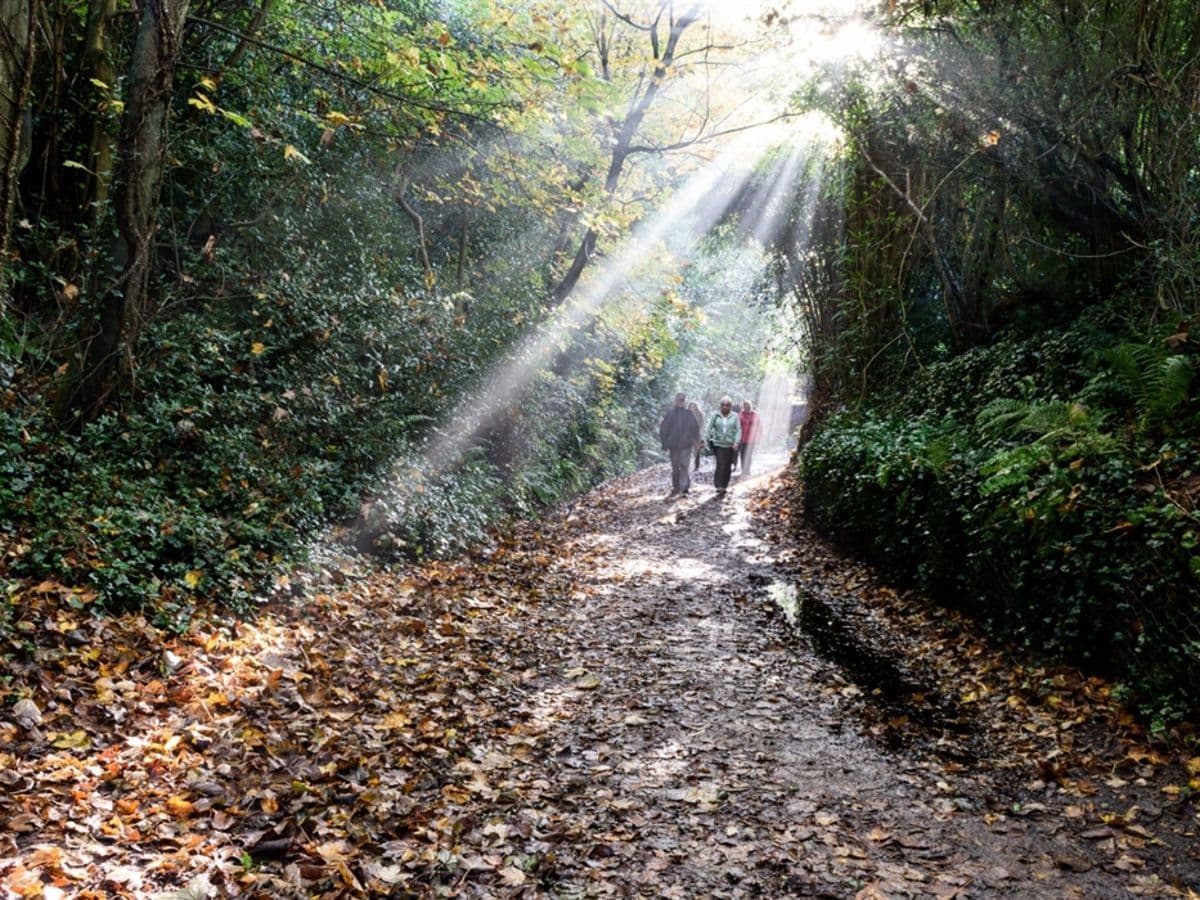 Mindfulness Walk - Image 1