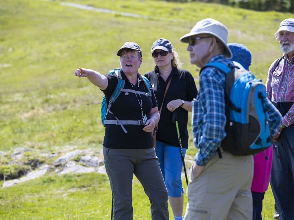 Kingston Lacy Estate Walk: Shapwick and Bishops Court Farm - Image 1
