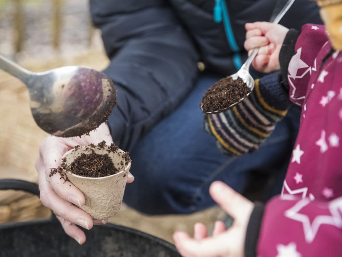 Summer of Play at Kingston Lacy: Seed planting - Image 1
