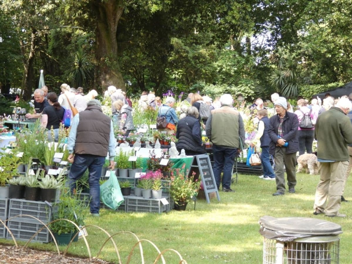 Charity Specialist Plant Fair - Image 1