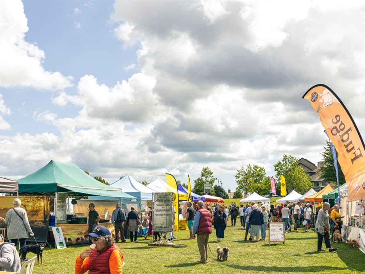 Dorset Food and Arts Festival - Image 1