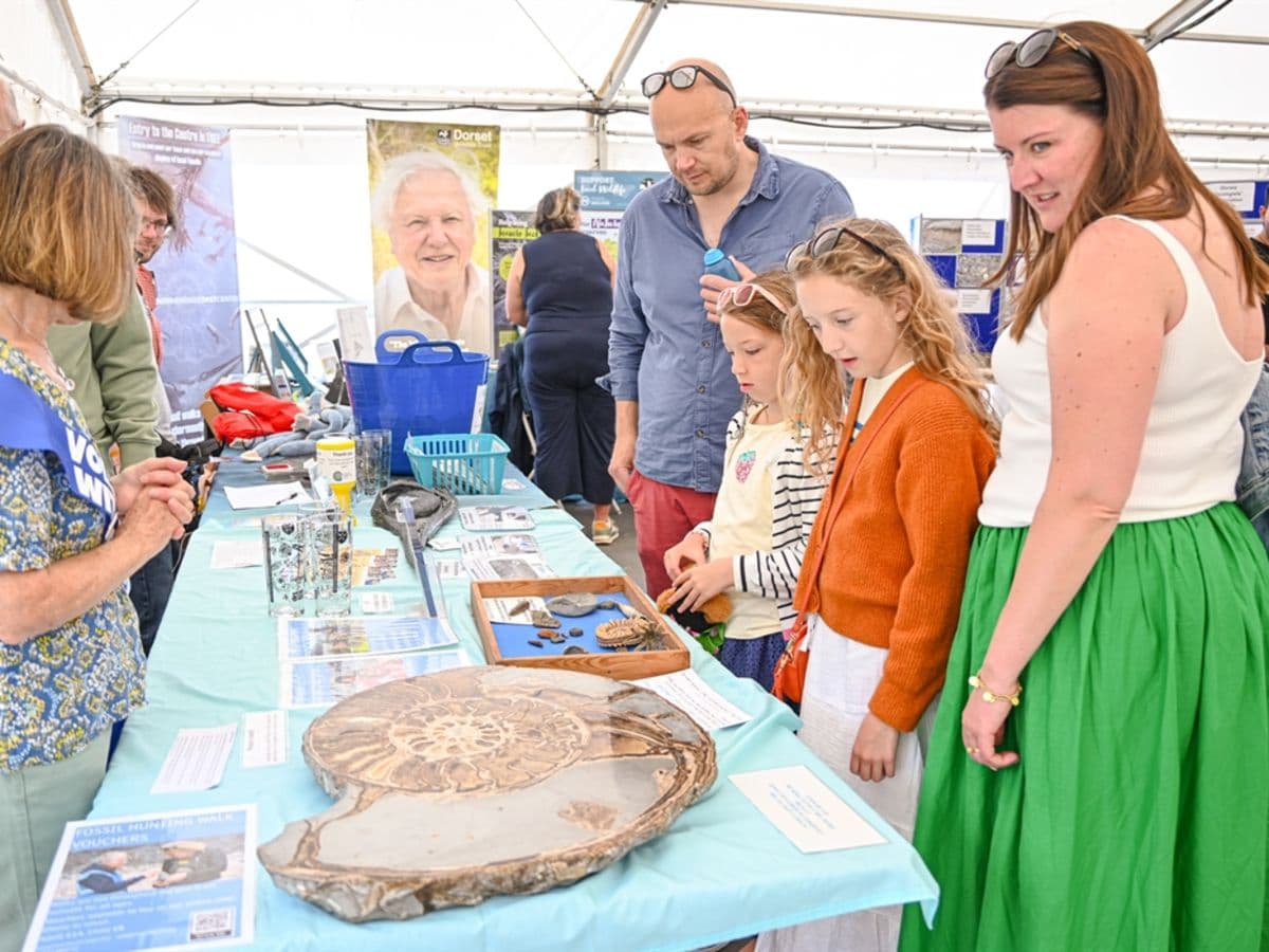 Lyme Regis Fossil Festival - Image 1