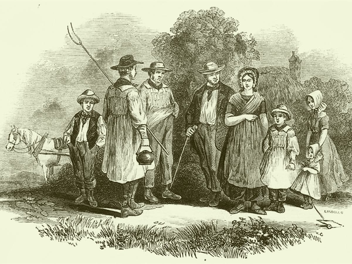 Thomas Hardy, Clothing and the Natural World | Professor Emerita Rachel Worth - Image 1