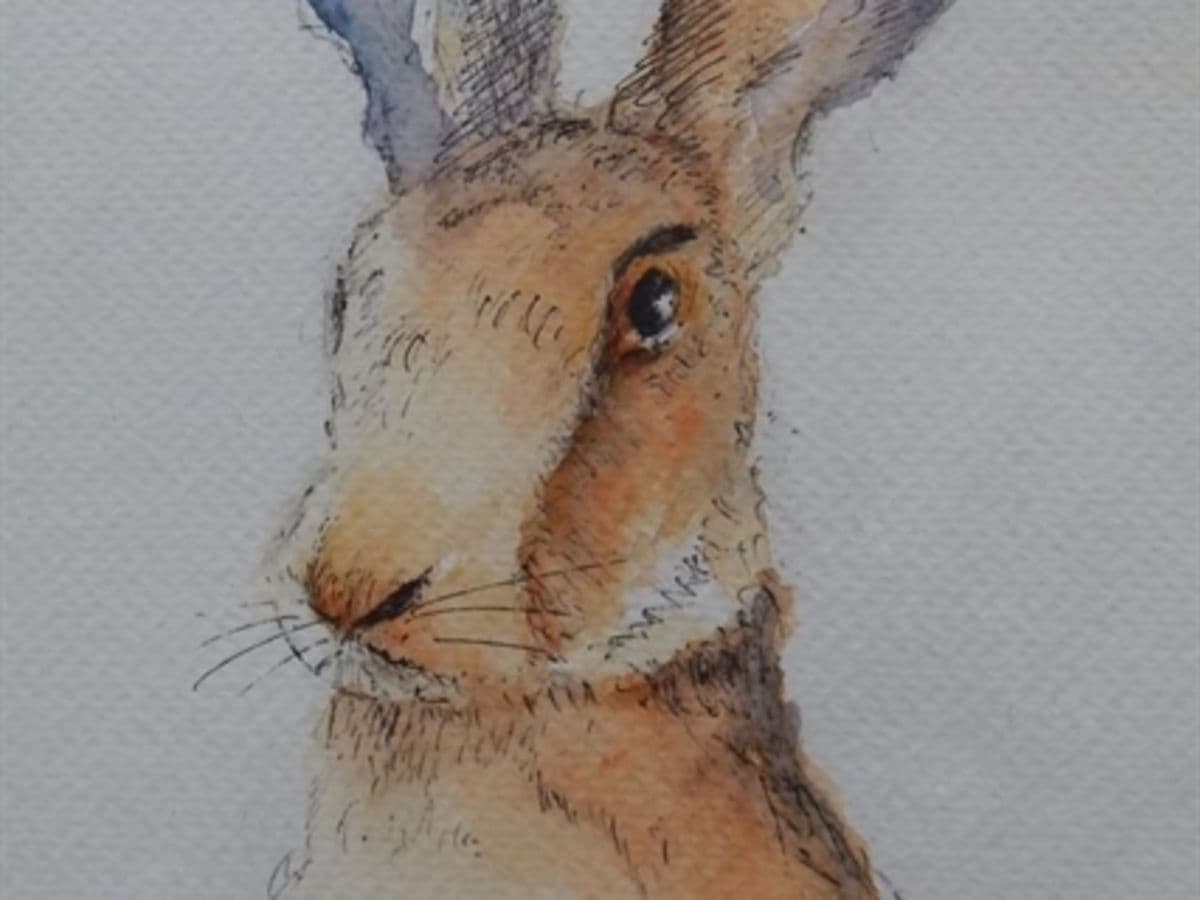 Events at Durlston Country Park: Art Workshops with Madelaine Devenay - Image 1