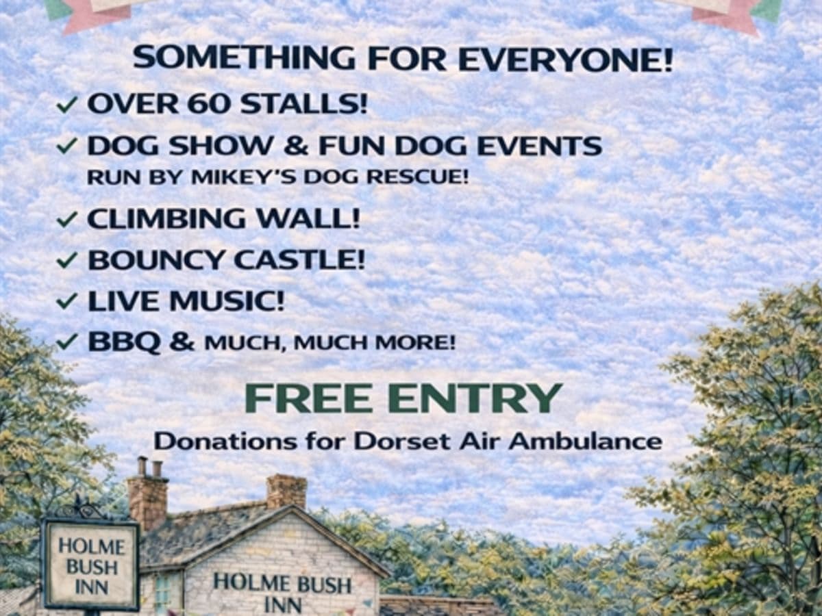 Holme Bush Inn Summer Fair - Image 1