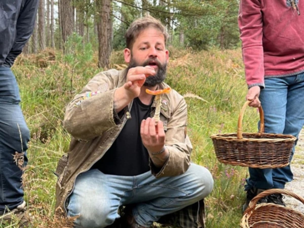 Fungi Foraging Walk with Andy Knott - Image 1