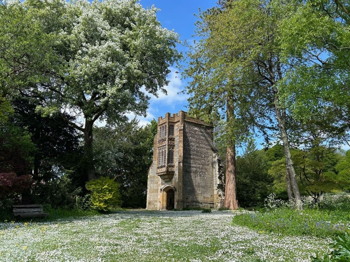 Artists in Residence Exhibition at Cerne Abbey - Image 1