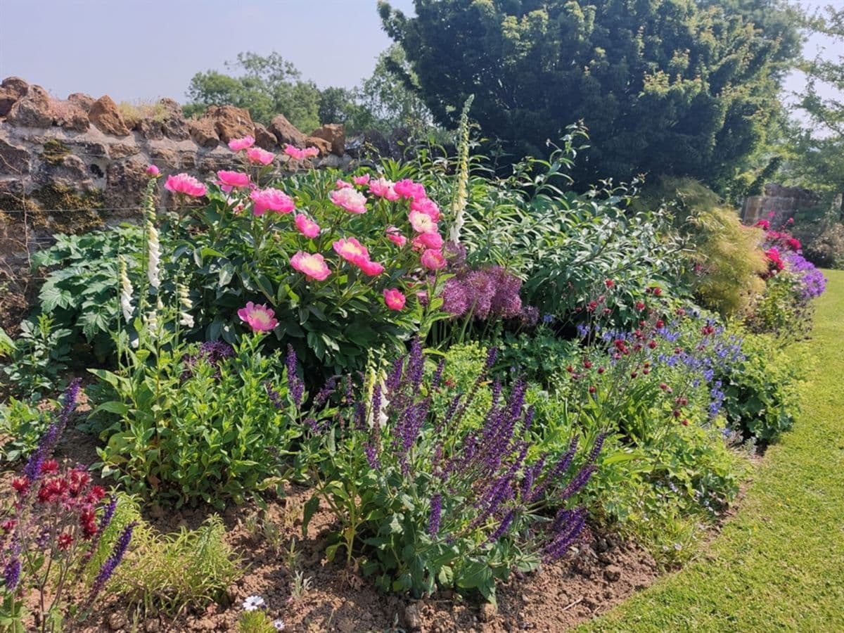 Netherbury Open Gardens - Image 1