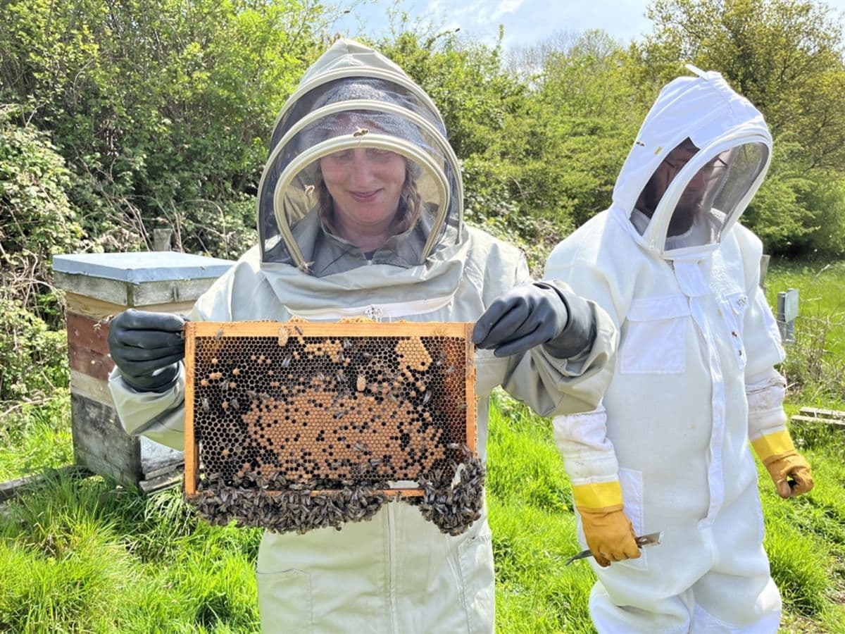 River Cottage Beekeeping Course - Image 1