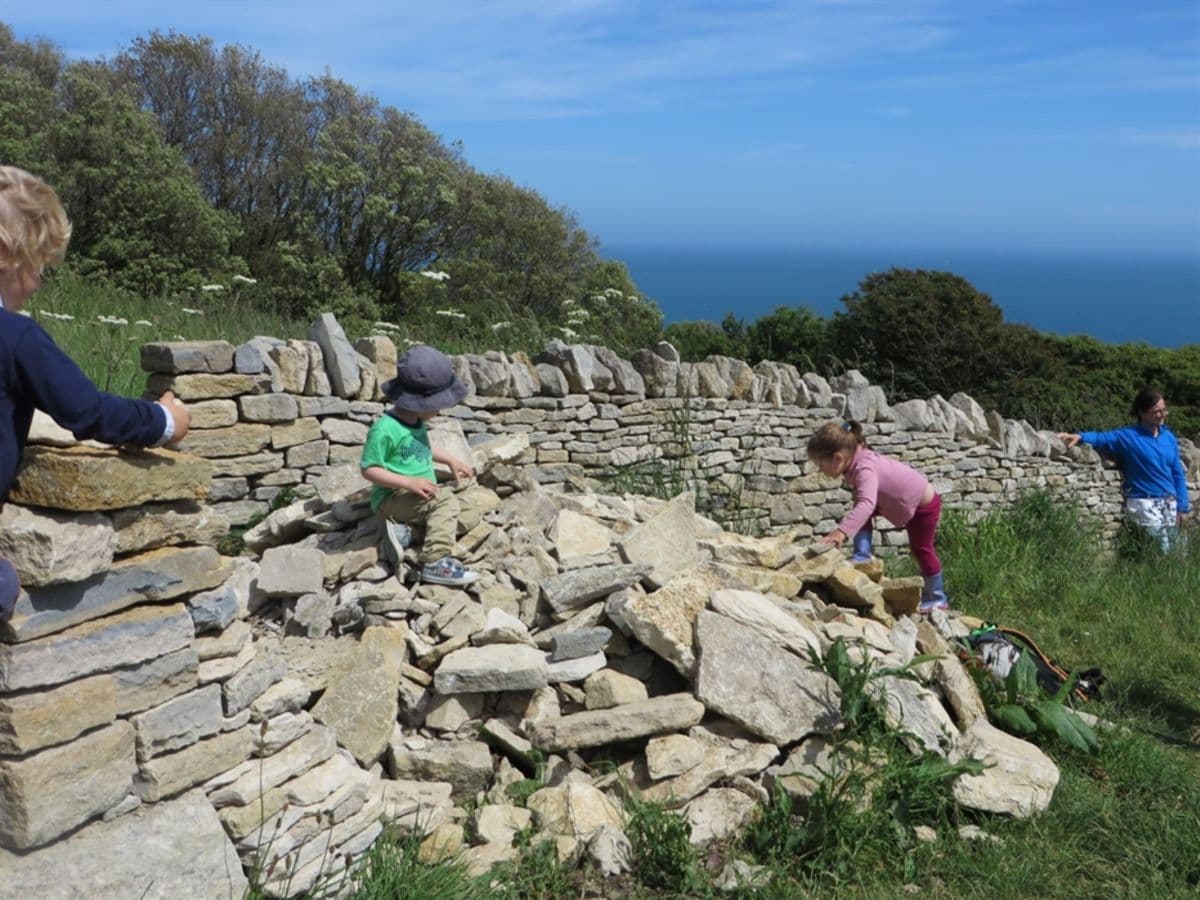 Events at Durlston Country Park: Park Run - Image 1
