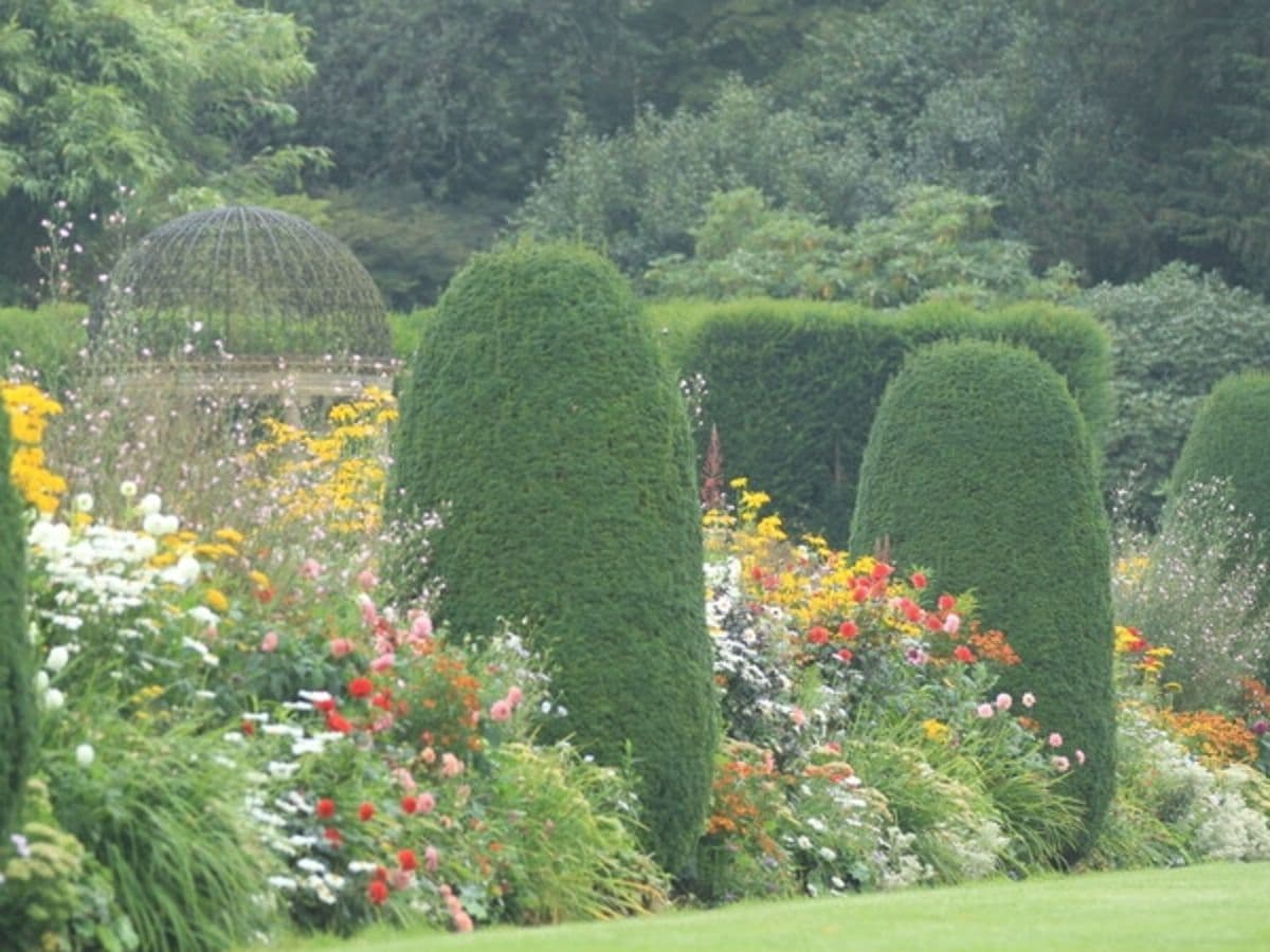 Autumn Plant & Gardening Fair - Image 1